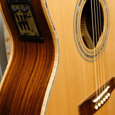Zager ZAD900ce OM (USED) image 8