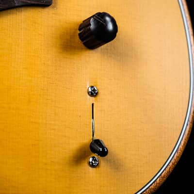 2021 Fender Acoustasonic Player Telecaster butterscotch blonde image 6