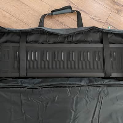 ROLI Seaboard RISE 49 | Excellent Condition, Barely Used image 2