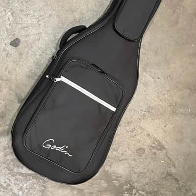 Godin A12 Natural SG 12 String 2022 image 10