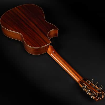 2018 Hanika Fusion PC - Natural | Made in Germany Professional Line Masterbuilt Classical Guitar Cedar Rosewood 50mm Nut Cutaway | CoA OHSC image 14