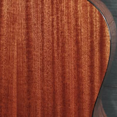 Eastman E100SS-DLX-SB Sunburst Solid Wood w/ Fishman Electronics image 20