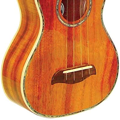 Oscar Schmidt Concert Ukulele w/ Gig Bag - Koa - OU5K image 1