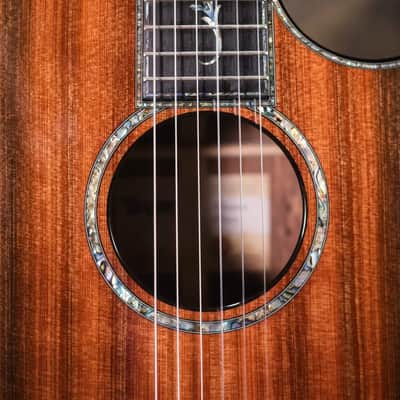 Taylor PS14ce-N Honduran Rosewood/Sinker Redwood Nylon Acoustic/Electric Guitar with Hardshell Case image 12