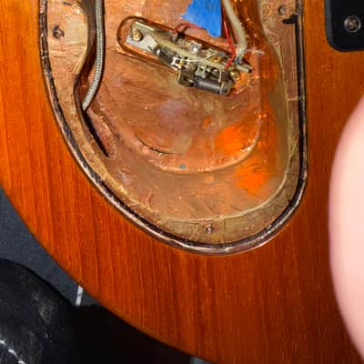 Stuart Spector Design (SSD) BlackHawk Guitar  - Stuart’s Personal Guitar image 7