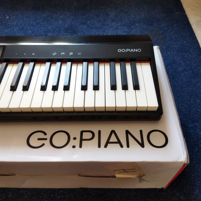 Roland GO-61P GO:PIANO 61-Key Digital Piano 2017 - Present - Black image 1