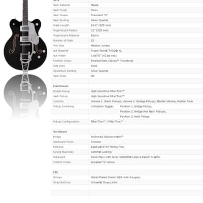 Gretsch Professional G6636TSL Player's Edition Silver Falcon image 9