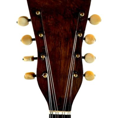 Mandoline de Concert Luigi Tamagno de 1904 image 11