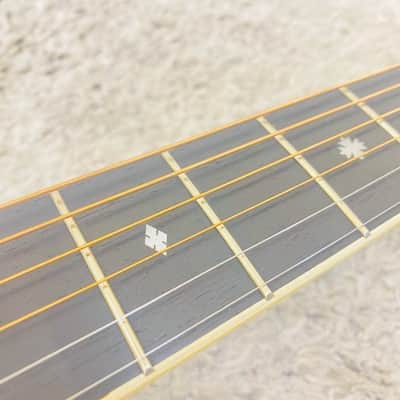 Tokai Cat's Eyes CE-300 1970〜80年代 image 22