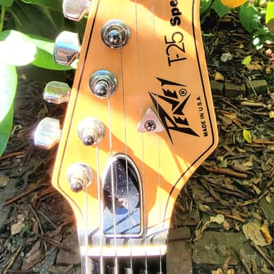 Peavey T-25 Special, Made in USA 1983, Pro Serviced image 7