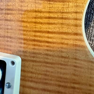 Gibson Slash Collection Les Paul Standard image 8