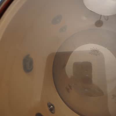 Mapex Satern Series 8"(Diameter)x7"(Depth) Tom Bild 10