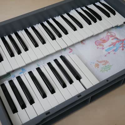 Roland • MKB-200 61-Key MIDI Keyboard Controller (1985-1989) SERVICED image 22