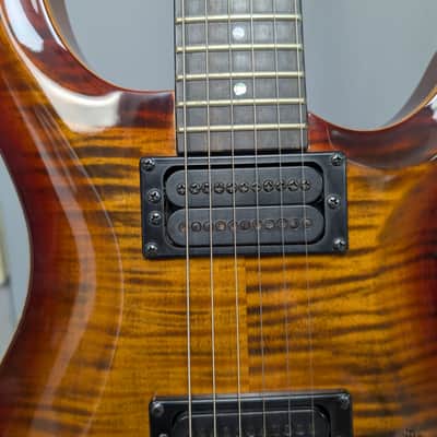 Carvin CT-4 burst image 4