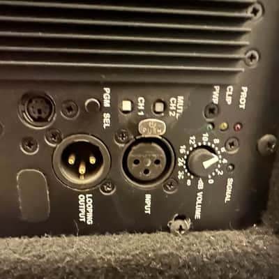 Bergantino IP322 prototype (one of a kind!!!) powered bass cabinet image 3