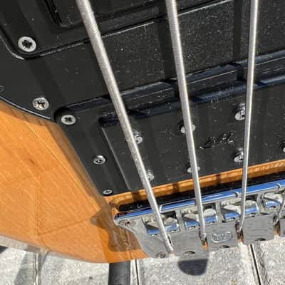 Wal Pro Bass II (Pro2E) 1979 image 12