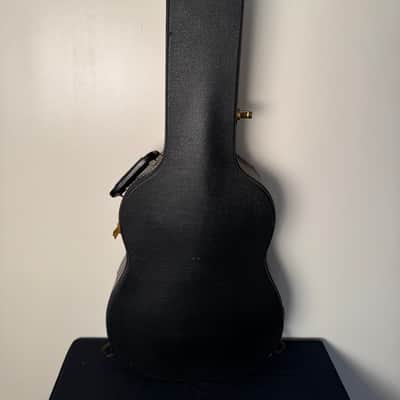 Gibson TG-25 1965 or 1968 with hard shell case image 13
