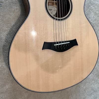 Taylor GT-8 Baritone 8-String Custom Built. image 16