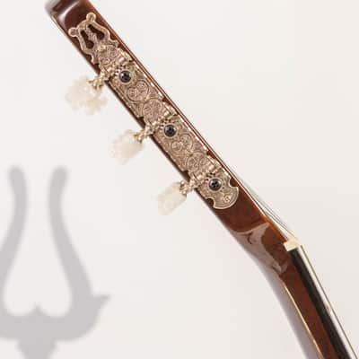 Daion DPC-999 Solid Body Acoustic / Classical 1983 Brown image 13