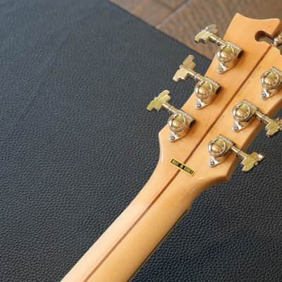 MINTY! 2020 D’Angelico Brighton Deluxe Series Double-Cut Electric Guitar Sunburst + OHSC image 18