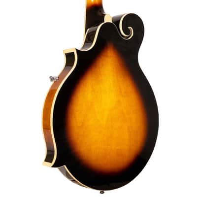 Gold Tone GM-35: F-Style Mandolin with Case image 10