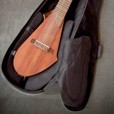 Dragonfly DF10-A (Acoustic/Electric Chapman Stick) image 2