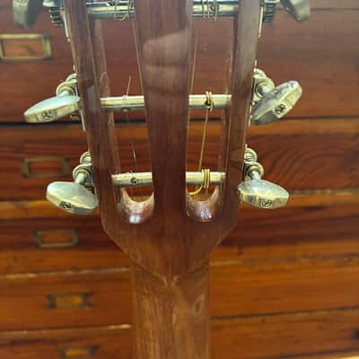 Tanglewood TWJ-P-E Java Solid Cedar/Amara/Spalted Mango Parlor with Electronics 2010s - Natural Gloss image 6
