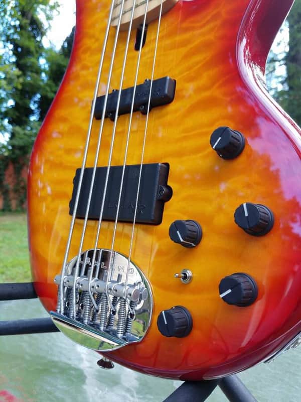 Lakland 55-02 Deluxe 2008 image 1