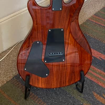 PRS SE Swamp Ash Special image 2