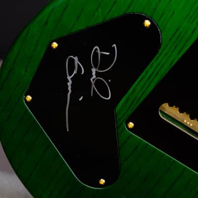 PRS Wood Library DGT Electric Guitar with Bird Inlays - Jade image 15