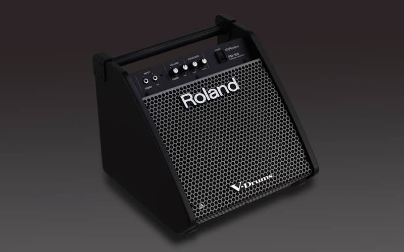 PM-100 Roland PM-100 Personal Monitor image 1