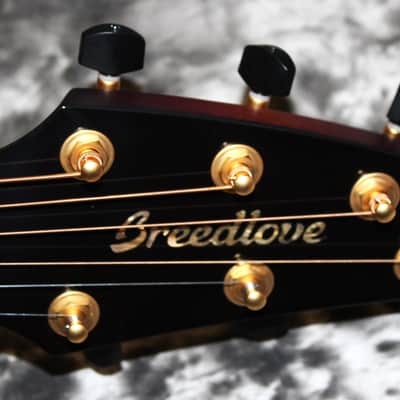 2023 Breedlove - Oregon Concert CE *Limited Edition* - Old Fasioned - Myrtlewood image 5