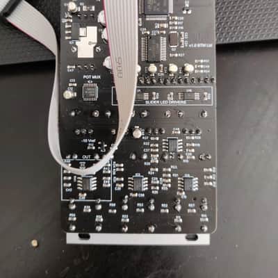 Big T Music Rangoon Mutable Instruments Rings Clone Eurorack Module image 4