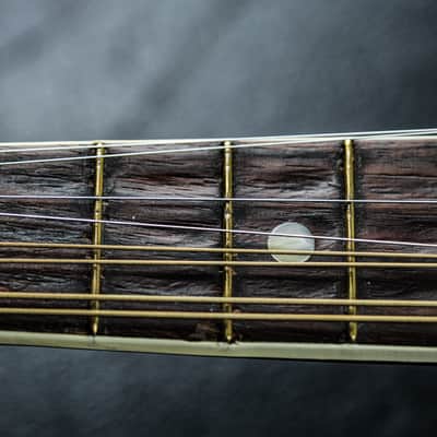 1932 Levin Model M-100 Mandolin Banjo image 10