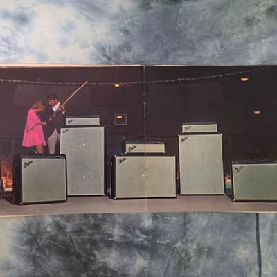 Vintage RARE 1969 Fender Guitar Amp Catalog Tele Strat Cover Missing Case Candy! image 5