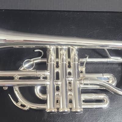 Getzen Eterna PRO Eterna 800S Silver L B Cornet, M/P 's and hardcase  Case  Silver Plate image 19
