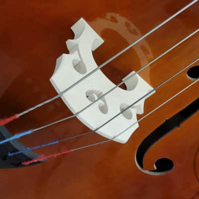 Strunal 1/2 Size Upright Bass With Gig Bag image 3