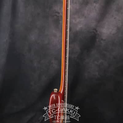Fernandes 1979-1981 FPM-100 image 11