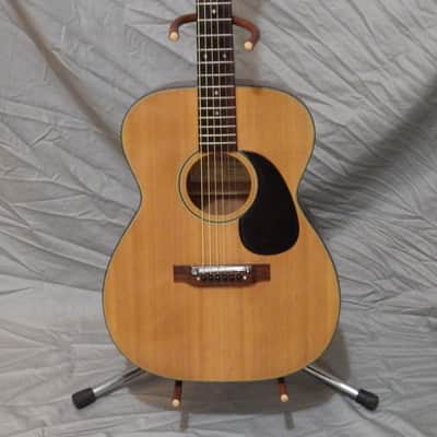 Citation CIT5000 Acoustic Guitar (1970s, MIJ) image 1