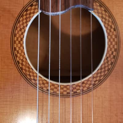 Super Rare Dieter Hopft 1963 Classical Guitar image 8