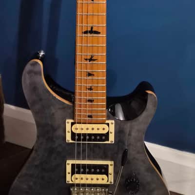 PRS SE Ltd Edition Custom 24 - Grey Black image 3