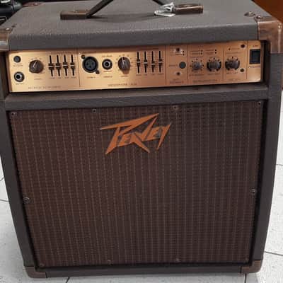 Peavey Ecoustic 110 efx 75W image 1