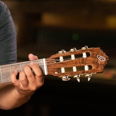 Ortega RCE159MN Performer Series Solid Cedar Top Mahogany Neck Cutaway Nylon 6-String Classical Acoustic-Electric Guitar w/Gig Bag image 24