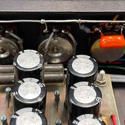 Dumble Overdrive Special with travel case image 14