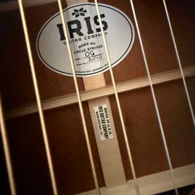 IRIS 12-Fret OG All Mahogany Burst image 10