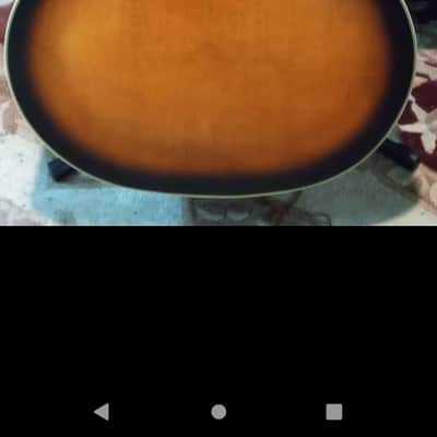 Washburn J600 image 2