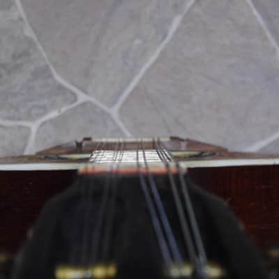 fine old VOGTLANDSPERLE solid arched back 8string MANDOLIN mando Germany 1920s image 13