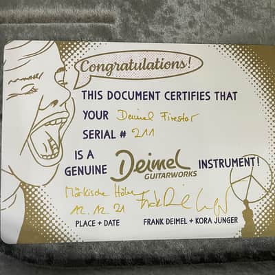 Deimel Firestar Open Pore Black Finish w/ Novak Pickups NEW (Authorized Dealer) image 20