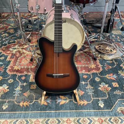 Ibanez FRH10NBSF Thinline Nylon Acoustic-Electric Guitar (Brown Sunburst) image 4