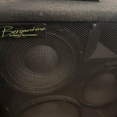 Bergantino IP322 prototype (one of a kind!!!) powered bass cabinet image 6